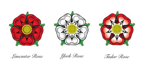 tudor times roses